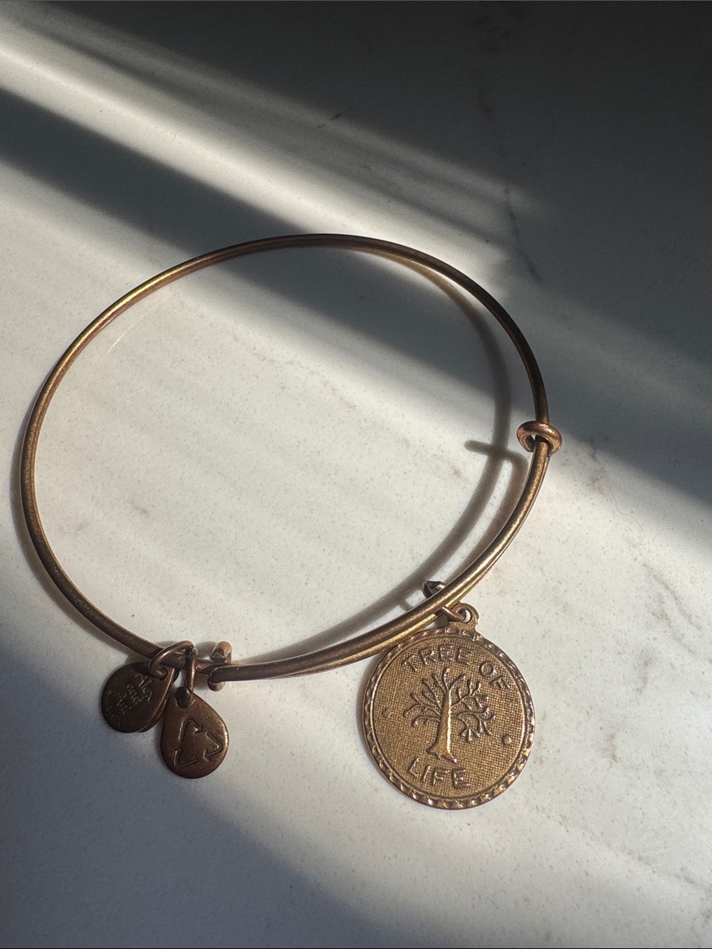 Alex and Ani Gold Tree of Life Charm Bracelet